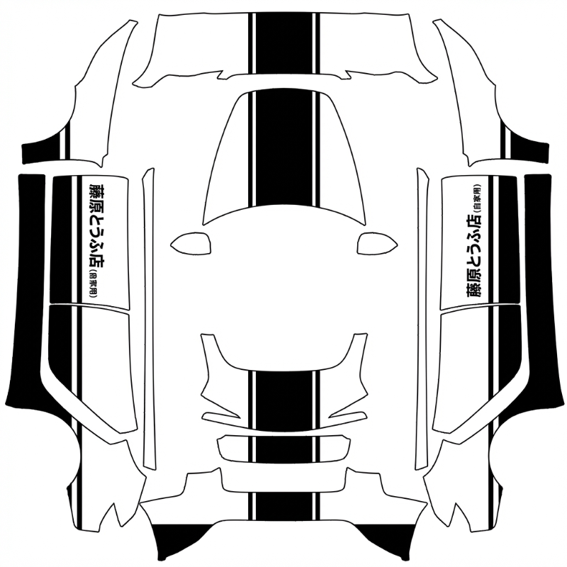 Custom Design - Model 3 (2024+)
